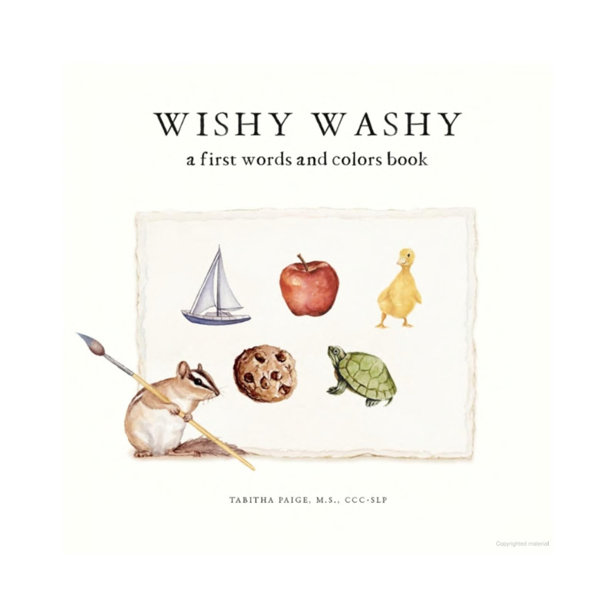 Wishy Washy a First Words and Colors Book - Board Book