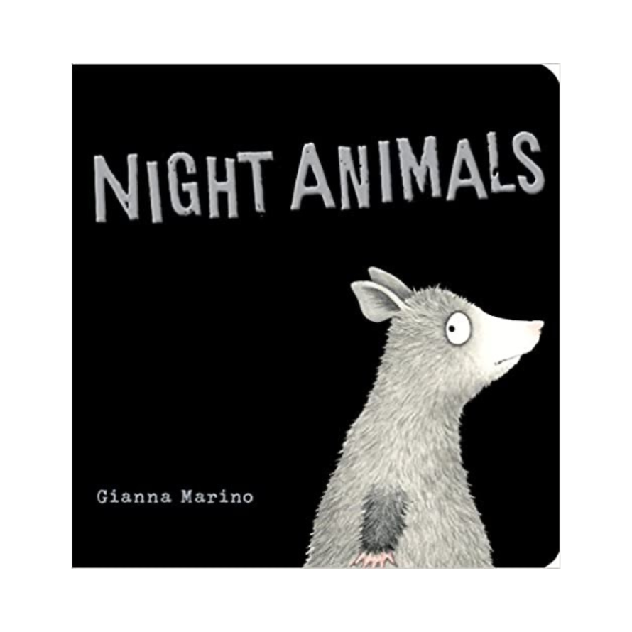 Night Animals - board book