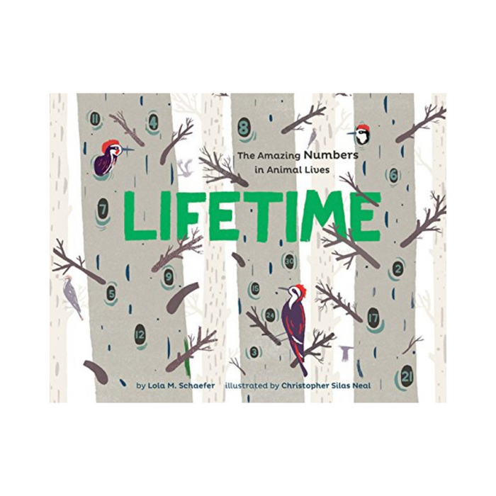 Lifetime | The Amazing Numbers in Animal Lives - hardcover