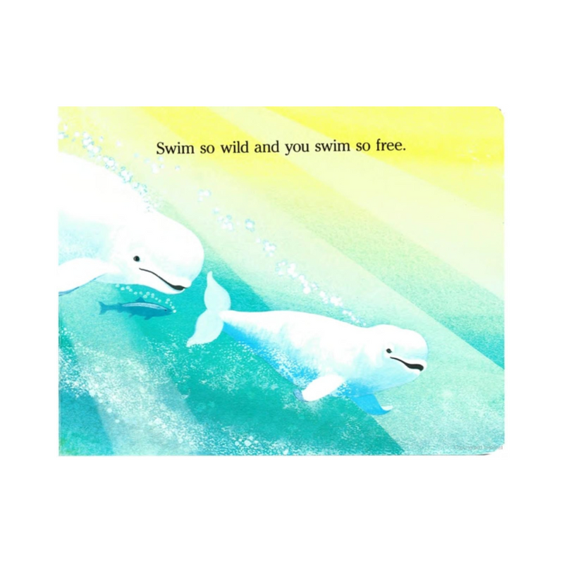 Baby Beluga - board book