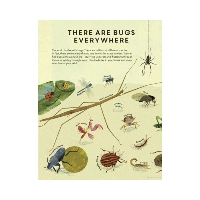Bugs Everywhere - hardcover