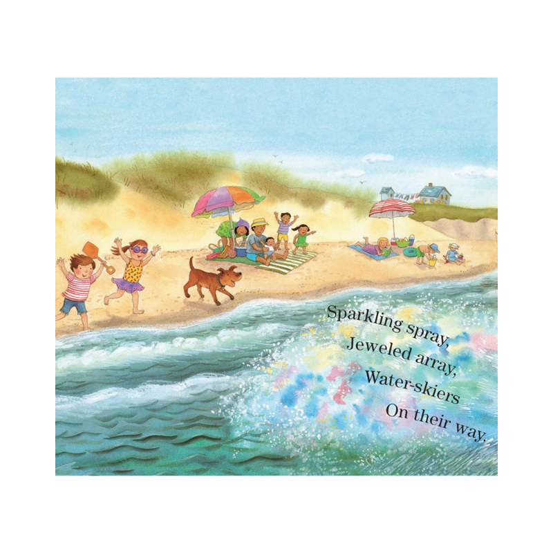 Beach Day - board book
