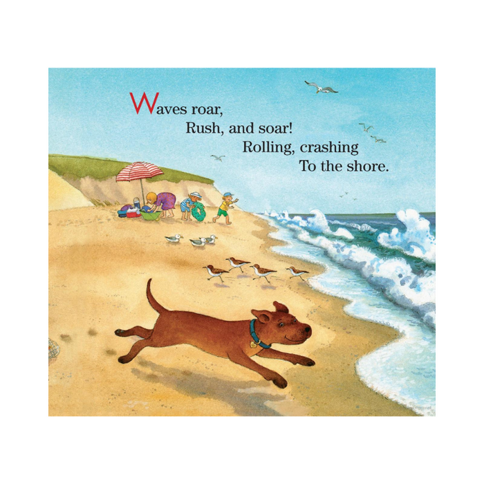 Beach Day - board book